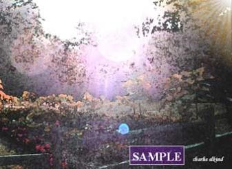 Flowers on a Garden Fence #2