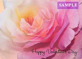 Happy Valentine's Day